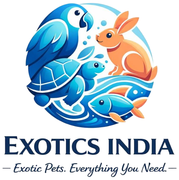 Exotics India