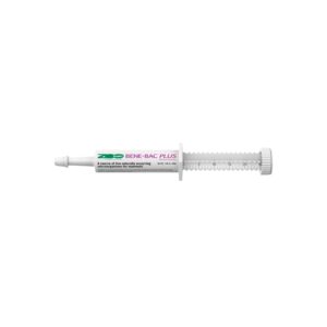 Zoologic Mammal Benebac