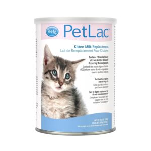 Petlac Kittems